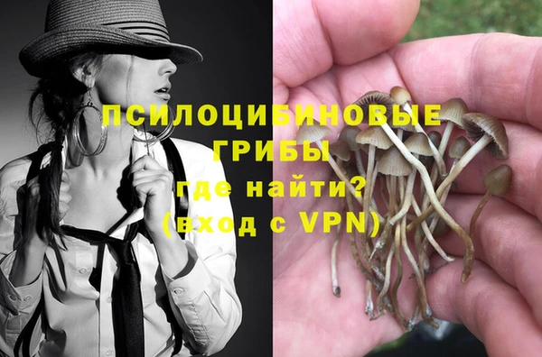 трава Абаза