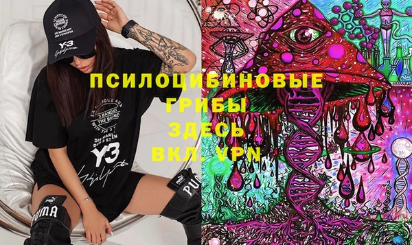 кокс Няндома