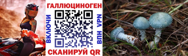 где продают наркотики  shop формула  Псилоцибиновые грибы мицелий  Шумерля 