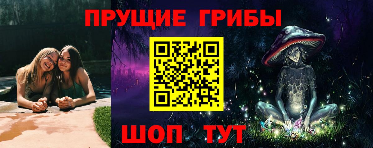 где купить   Псилоцибиновые грибы прущие грибы  Шумерля  Вход с VPN  Псилоцибиновые грибы GOLDEN TEACHER 